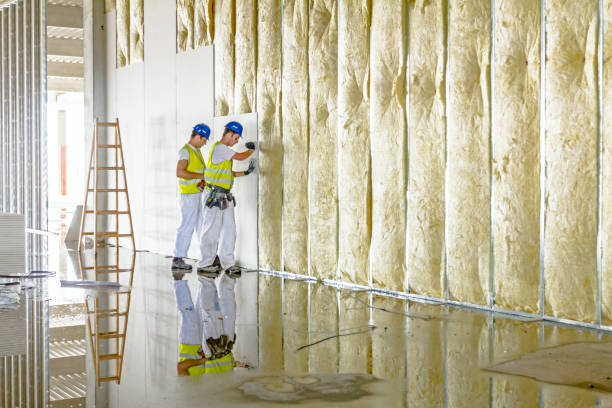 Best Insulation Maintenance and Repair in Oconto Falls, WI